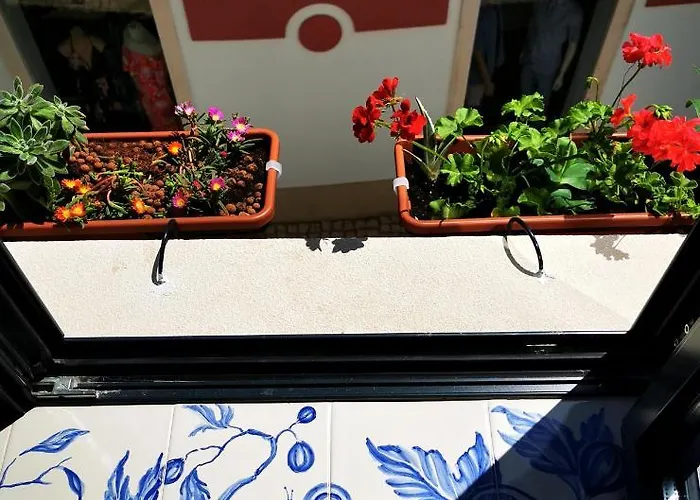 Charming Portuguese Style Apartment, For Rent Vida à Portuguesa, Amêndoa Or Limão Local Appartamento
