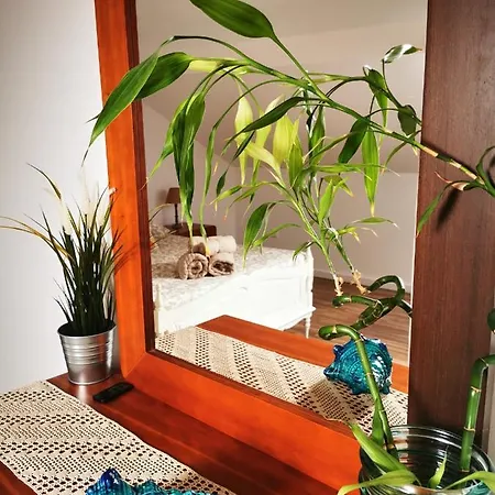 Appartement Charming Portuguese Style Apartment, For Rent 
