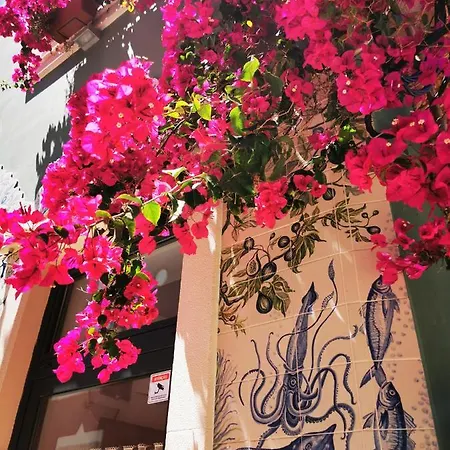 Appartement Charming Portuguese Style Apartment, For Rent 