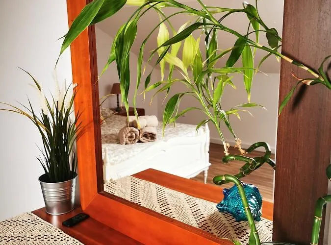 Apartment Charming Portuguese Style Apartment, For Rent 